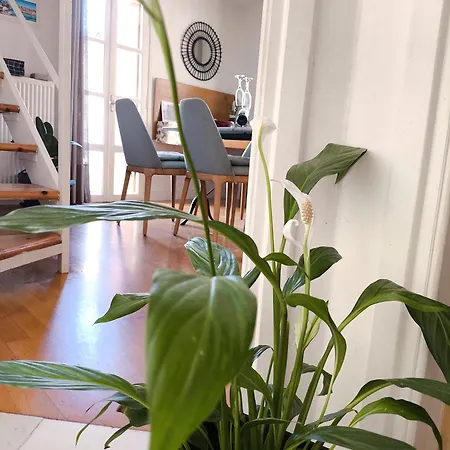 Kallisti Stone House * La Canea